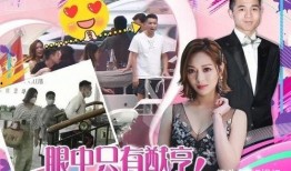 卓伟桃花爆料视频大全最新,揭秘娱乐圈幕后真相